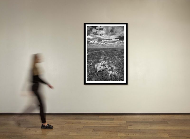 48 x 36 in., edition of 15